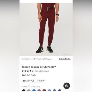 Figs Tansen Scrub Pant
